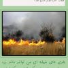 نکات ایمنی برای پیشگیری از آتش سوزی مزارع کشاورزی