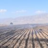 آتش سوزی زمین کشاورزی | عکس از : حمید چنارانی