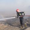آتش سوزی زمین کشاورزی | عکس از : حمید چنارانی