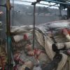 بی احتیاطی موجب آتش سوزی در یک کارگاه قالیشویی شد | عکس از : حمید چنارانی