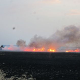 آتش نشانی نیشابور - فیلتر سیگار روشن یک مزرعه را به آتش کشید