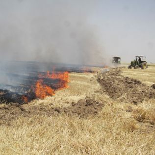 آتش نشانی نیشابور - آتش سوزی گسترده مزرعه کشاورزی