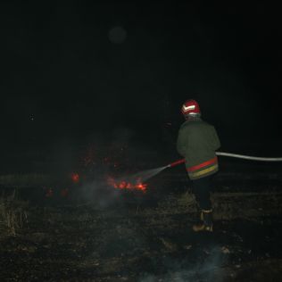 آتش نشانی نیشابور - حدود 5 هکتارسفالی مزرعه گندم در آتش سوخت