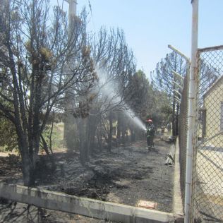 آتش نشانی نیشابور - بی احتیاطی موجب آتش سوزی باغت میوه شد