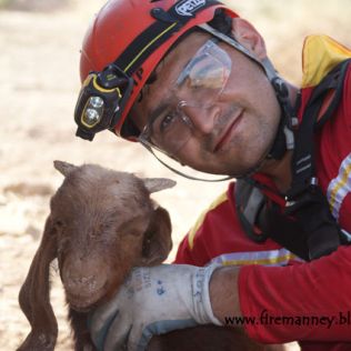 آتش نشانی نیشابور - نجات بزغاله ای پس از 9 روز از داخل چاه